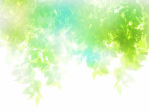 アシガール 風降る森